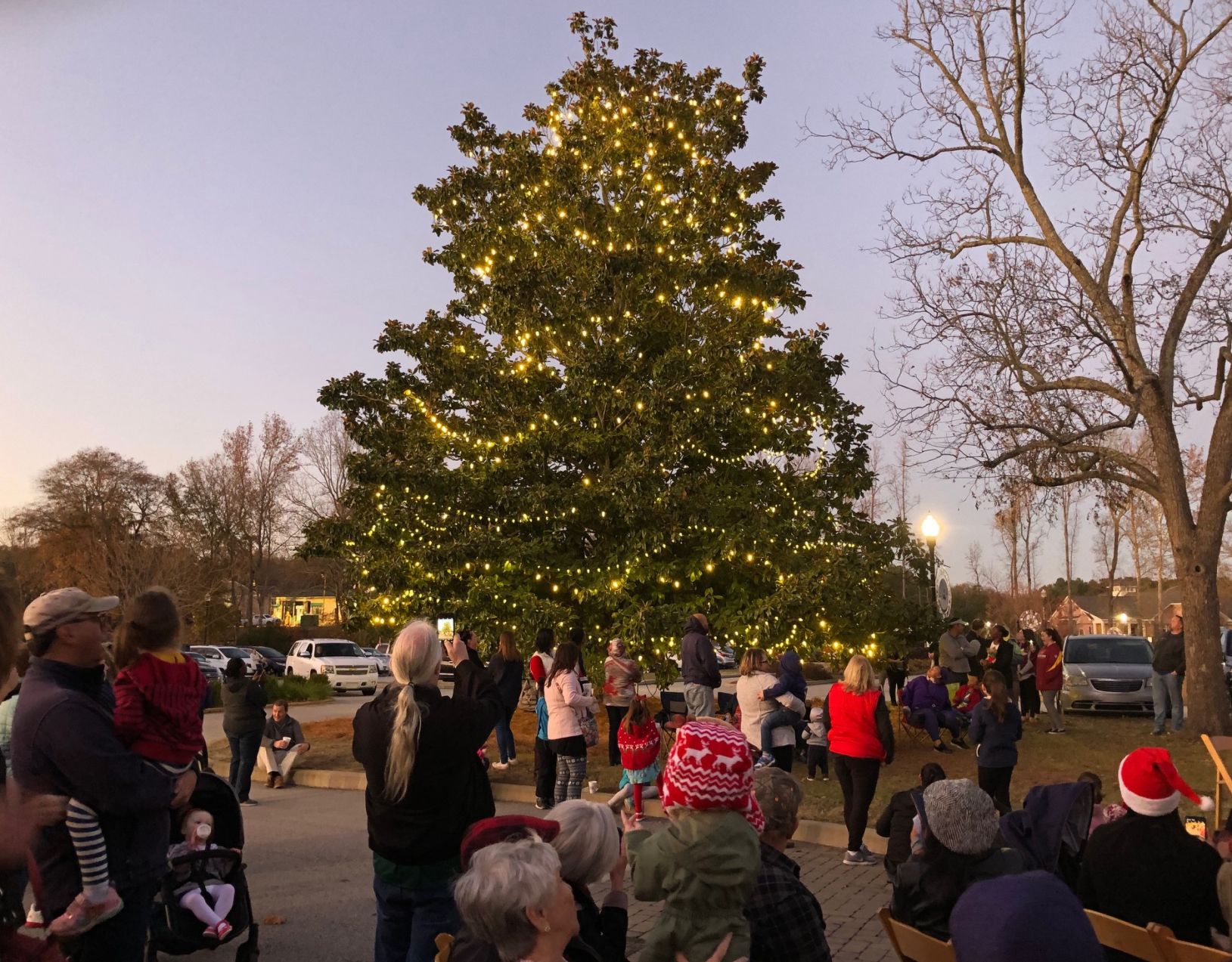 Blythewood Christmas tree.jpg